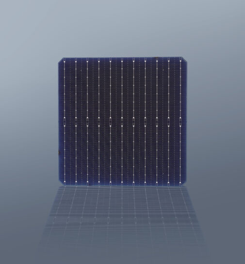 Kalyon PV - Hücre(cell) üretimi